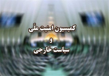 برگزاری نشست فوق‌العاده کمیسیون امنیت ملی مجلس درباره ناآرامی‌های کشور در دی ماه 1404