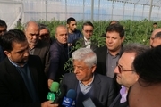 سرپرست وزارت جهادکشاورزی: اعتراض کشاورزان در خصوص قیمت پایین گندم به حق است