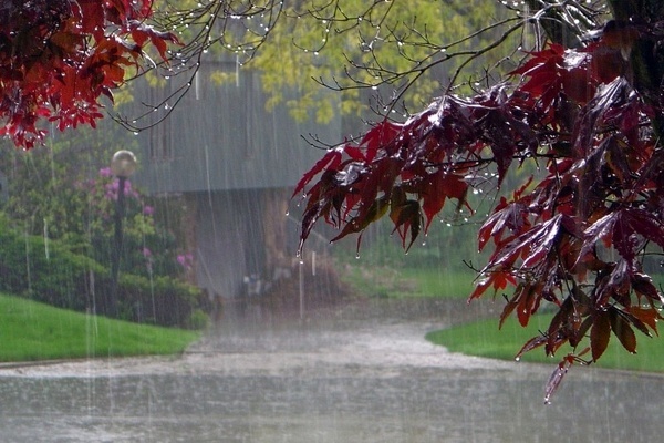 بارش پراکنده باران فردا در مازندران
