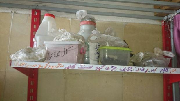 پزشکان قلابی در سه مرکز درمانی غیرمجاز چابهار دستگیر شدند