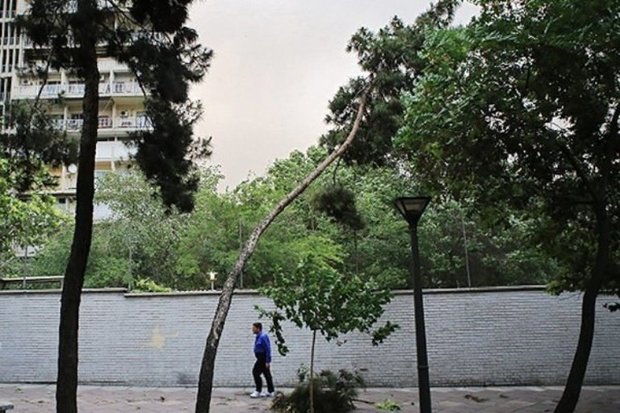 هواشناسی استان تهران برای عصر فردا(دوشنبه) وزش باد شدید پیش بینی کرد