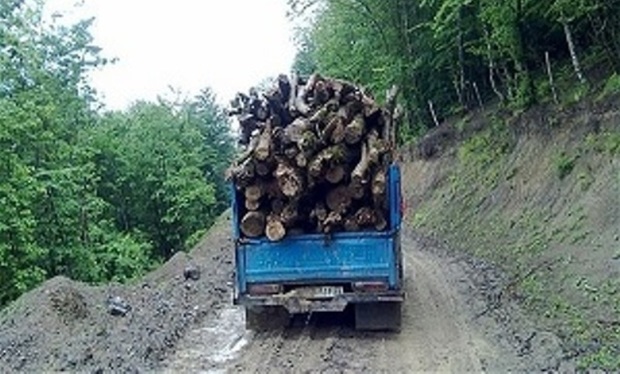 60 اصله چوب آلات قاچاق جنگلی در اردبیل کشف شد