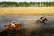 هفته دوم مسابقات کورس اسب کشور در اهواز برگزار شد