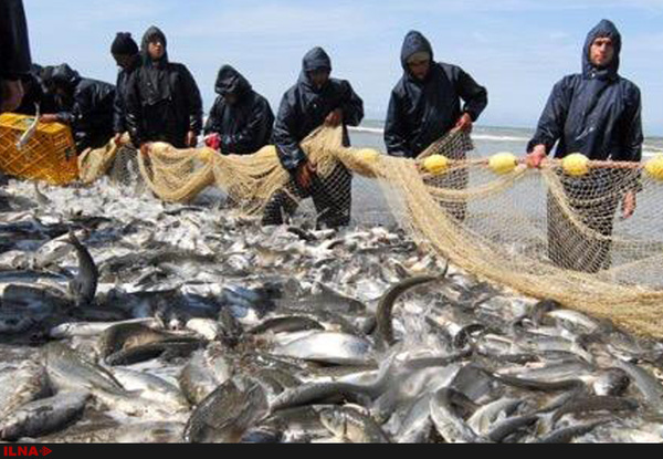 آغاز صید ماهی از دریای خزر   4200 صیاد به آب زدند