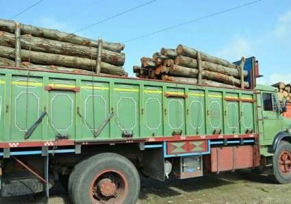 11 تن چوب قاچاق در گناباد کشف شد
