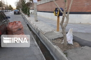 برخورد انتظامی با زباله‌گردها تهران آغاز شد