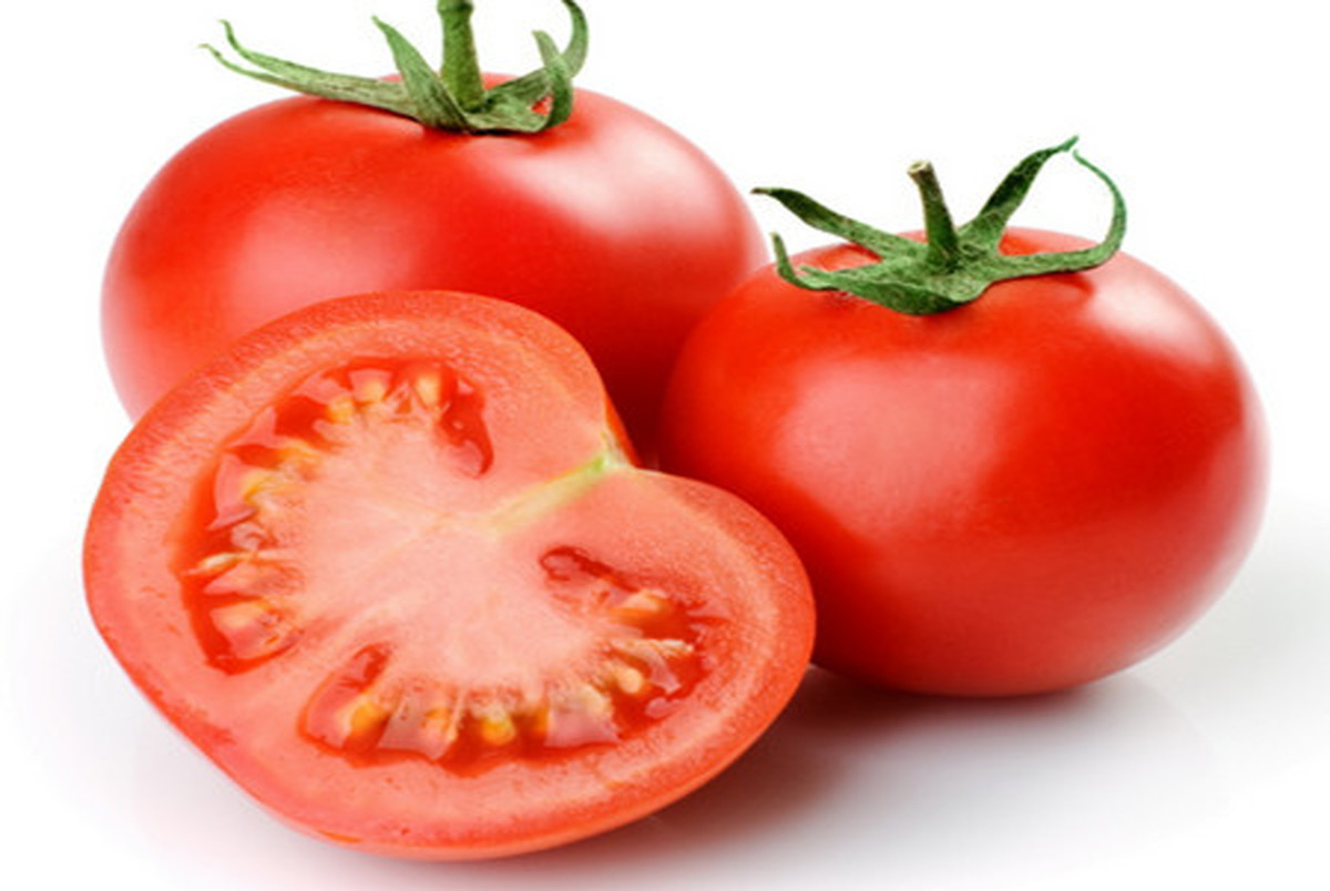 صادرات گوجه فرنگی تا اطلاع ثانوی ممنوع!