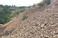 معدن شمام