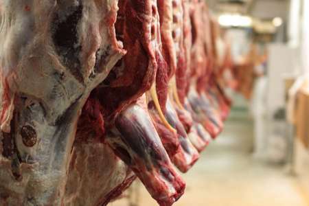استحصال 11هزار تن گوشت سفید و قرمز در کشتارگاه های خراسان شمالی