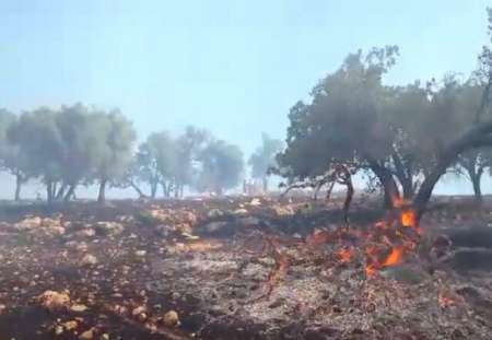 مهار حریق در کانون های اصلی آتش در جنگل های اندیمشک