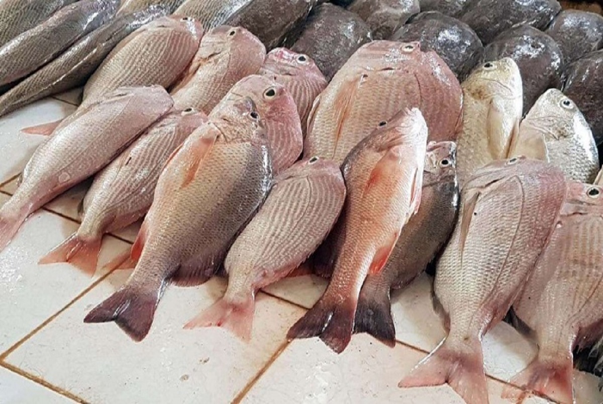 قیمت انواع ماهی و میگو در بازار؛ 18 تیر 1401 + جدول