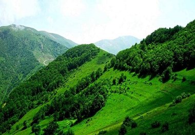 چرا «جنگل دیزمار» ایران ثبت جهانی نشد؟

