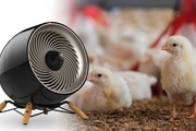 روش های گرم کردن سالن کوچک پرورش پرنده