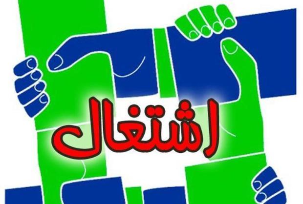 اشتغال بخش تعاون استان اردبیل به 20 هزار نفر رسید