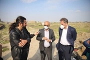 عضو شورای شهر مشهد: وحدت رویه در ساماندهی معتادان متجاهر وجود ندارد