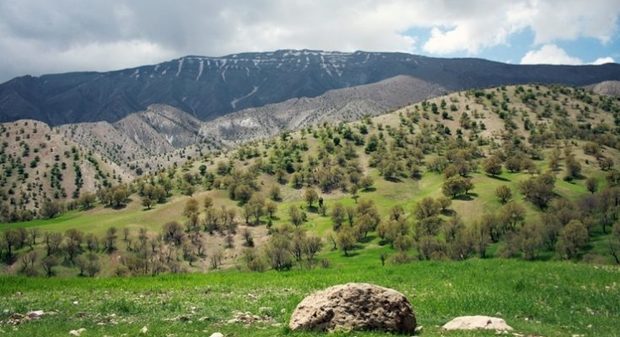 طرح ملی حفاظت از منابع طبیعی با مشارکت محلی از البرز آغاز شد