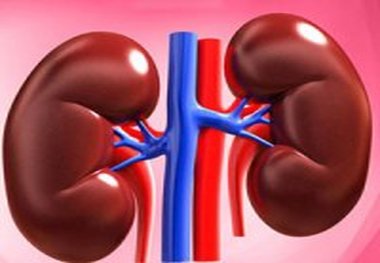 بهترین راهکار‌ها برای پیشگیری از سنگ کلیه

