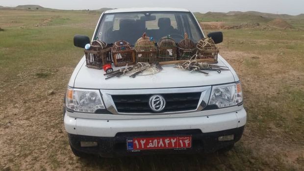 ۲ متخلف زنده گیری پرندگان در دزفول دستگیر شدند