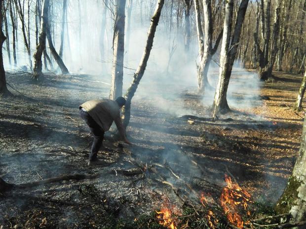 آتش یک هکتار از جنگل های آمل را خاکستر کرد