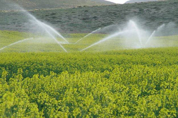 21 طرح کشاورزی در استان بوشهر افتتاح شد