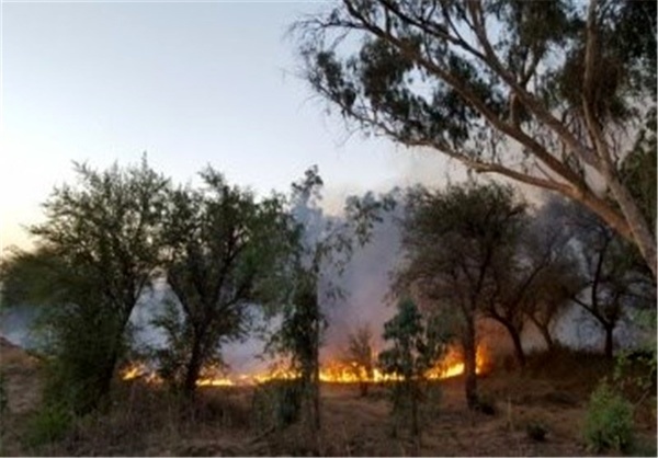 آتش جنگل های یاسوج را فراگرفت  کمک ها هنوز نرسیده اند
