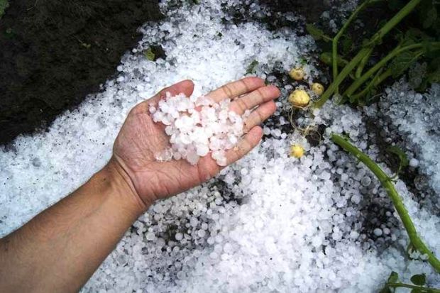 بارش تگرگ ابوزیدآباد آران‌وبیدگل را سفیدپوش کرد