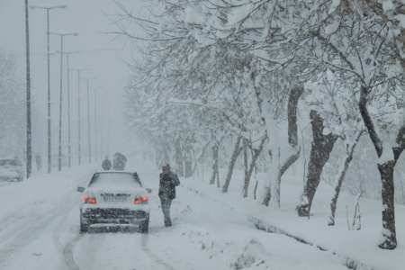 خسارت 30 میلیارد ریالی بارش برف در سوادکوه