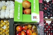 فروش میوه‌های خارجی در مناطق آزاد با قیمت های باورنکردنی