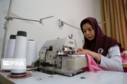 حدود ۶ هزار فرصت شغلی در روستاهای کرمانشاه ایجاد شد