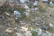 خبر مربوط به تخلیه زباله های عفونی در کوه چکش ارومیه صحت ندارد