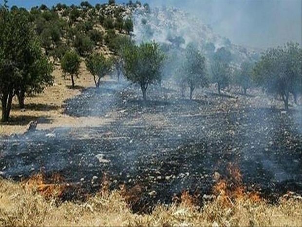 4 هزار متر از اراضی جنگل کمان گرکلا قائمشهر در آتش سوخت