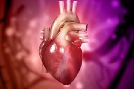 موفقیت پزشکان ایرانی در علم تصویربرداری قلب
