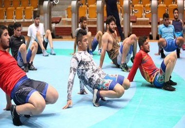  شیرازی، نخودی، حبیبی و زارع راهی چهارم نهایی شدند
