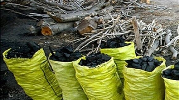 ۲۷ کیسه زغال جنگلی در بروجرد کشف شد
