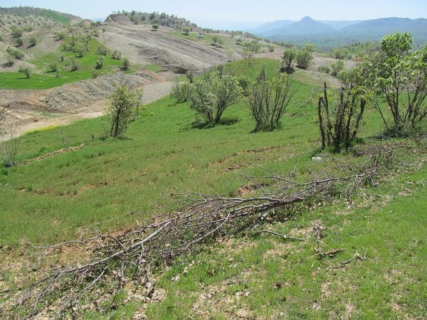 رفع تصرف از 476 هکتار اراضی ملی و منابع طبیعی آذربایجان شرقی