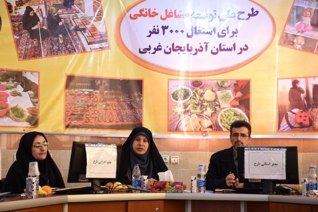 اجرای طرح توسعه مشاغل خانگی در هشت استان کشور