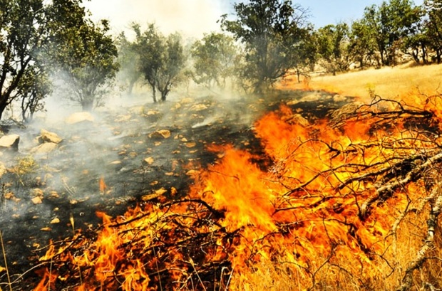 آتش‌سوزی در منابع طبیعی مهدی‌شهر 98 درصد کاهش یافت