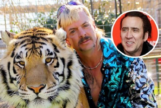 نیکلاس کیج، پادشاه ببر می‌شود
