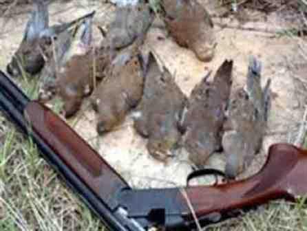 دستگیری پنج شکارچی متخلف در مازندران