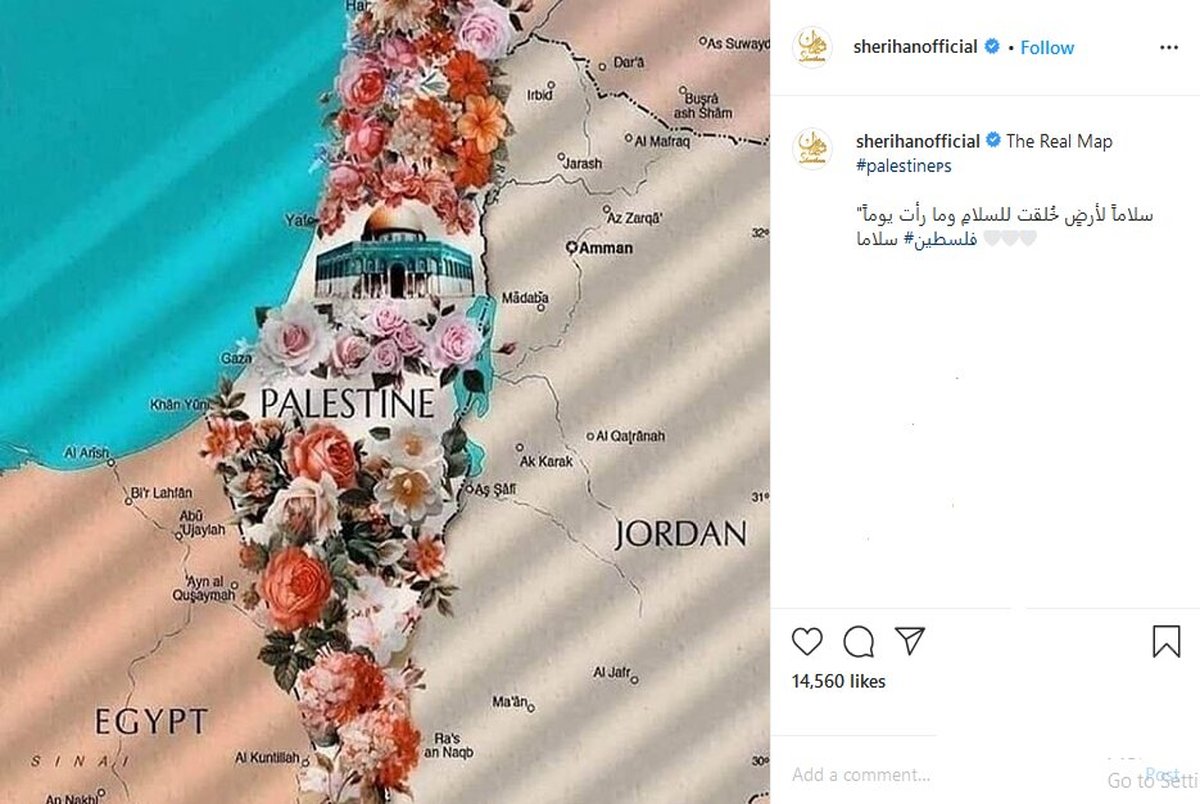 واکنش بازیگرِ سرشناسِ مصری به حذف فلسطین از نقشه‌های گوگل/ عکس