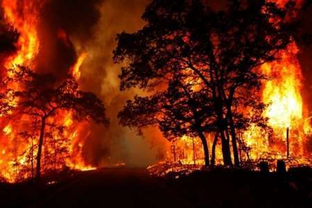 آتش زدن مزارع در دزفول موجب سرایت آتش به جنگل شد  معرفی 20 کشاورز متخلف به دستگاه قضایی