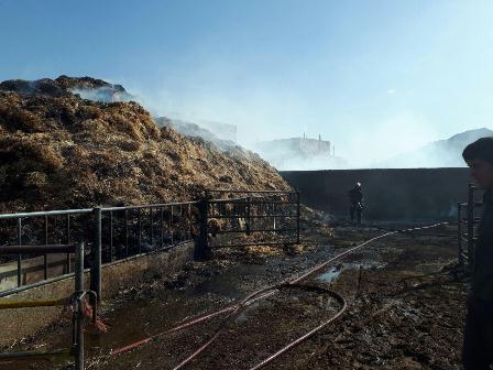 آتش سوزی یک گاوداری در تپه سلام مشهد