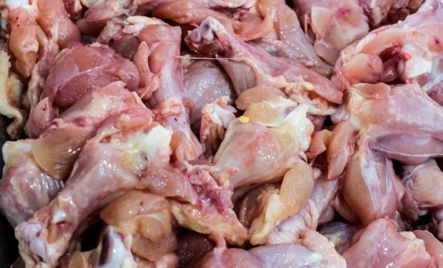 بیش از 17هزار کیلوگرم مواد غیرقابل مصرف در ملایر معدوم شد