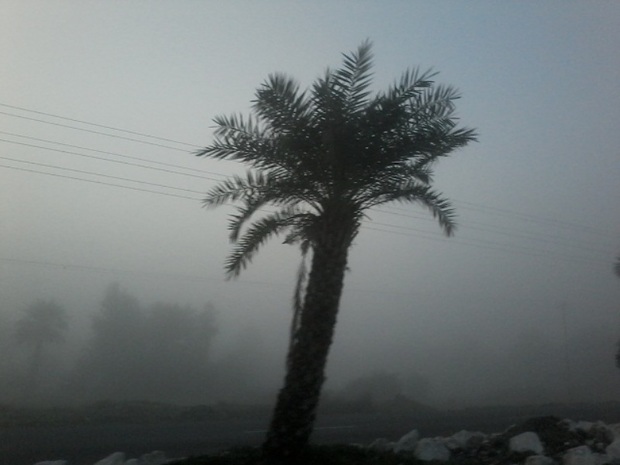 مه صبحگاهی میدان دید در آبادان را به 800 متر کاهش داد
