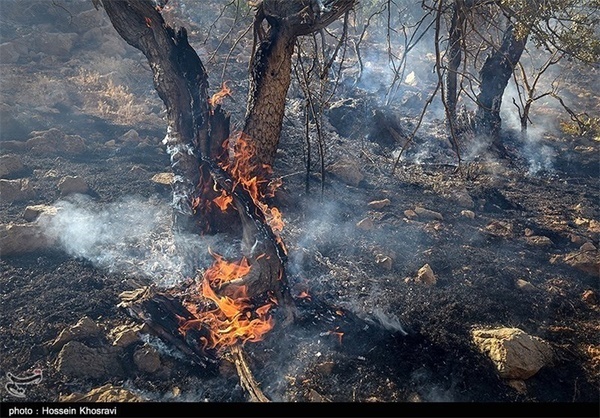 آتش سوزی در جنگل های ایذه از بین رفتن 15 هکتار جنگل بلوط