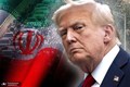 ترامپ می‌داند که تشدید درگیری، به زیان آمریکا است/ او تلاش می‌کند خود را مسلط به اوضاع نشان دهد