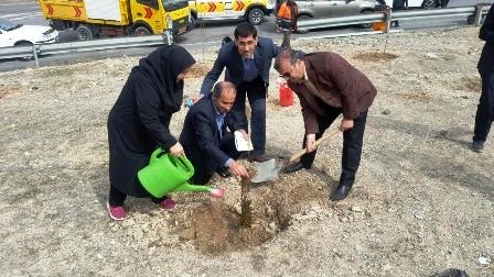 نهال کاری حاشیه آزاد راه تهران- پردیس آغاز شد