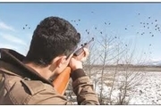 دستگیری 2 شکارچی غیر مجاز در کوه های البرز