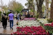 تعطیلی گل‌فروشی‌های قصردشت شیراز مصوب شد