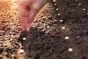 افتتاح 14 طرح کشاورزی در خاش